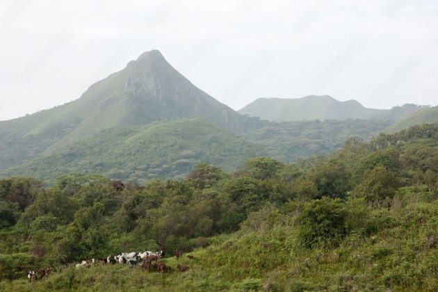 Вулкан Камерун, Африка