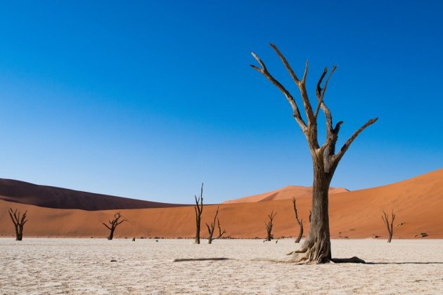 Пустынный парк в Намибии